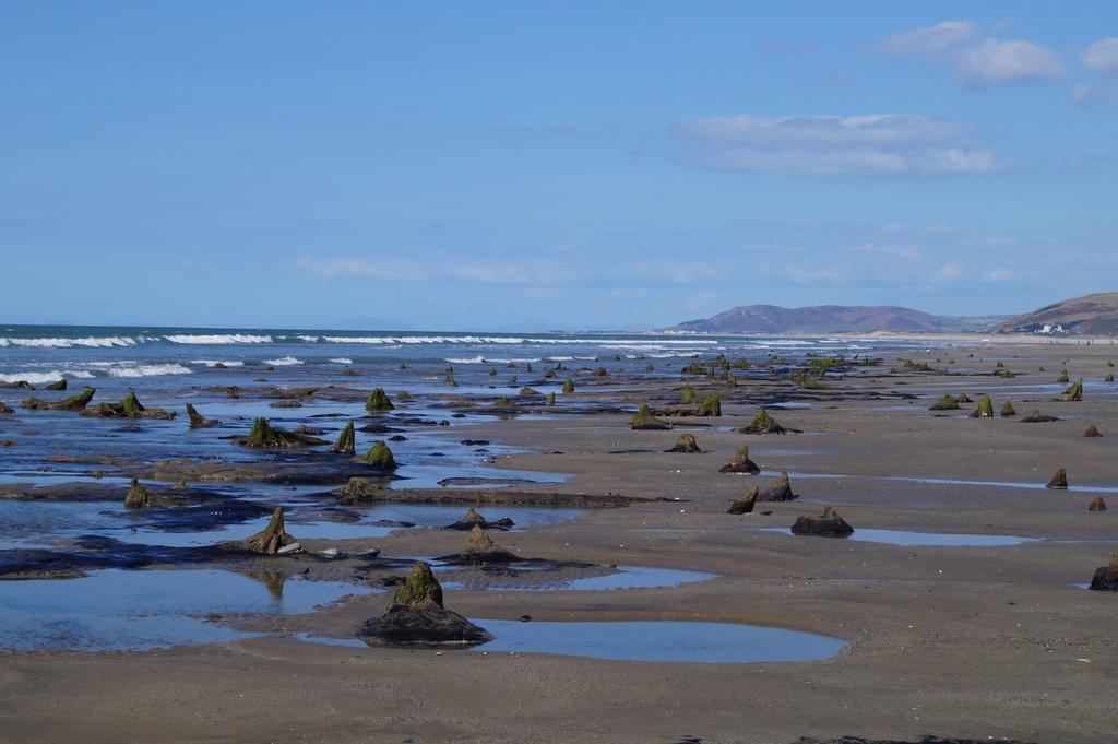 Yha Borth Hostel Buitenkant foto