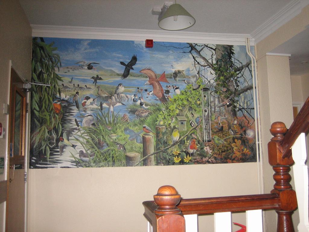 Yha Borth Hostel Kamer foto
